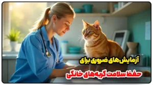 آزمایش‌های ضروری برای حفظ سلامت گربه‌های خانگی