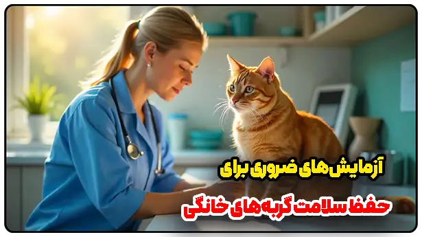 آزمایش‌های ضروری برای حفظ سلامت گربه‌های خانگی