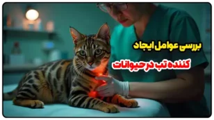 بررسی عوامل ایجاد کننده تب در حیوانات