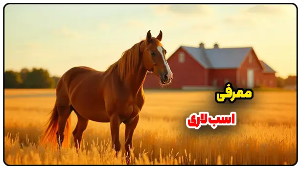 اسب لاری
