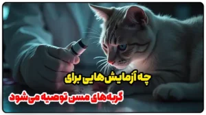 چه آزمایش‌هایی برای گربه‌های مسن توصیه می‌شود