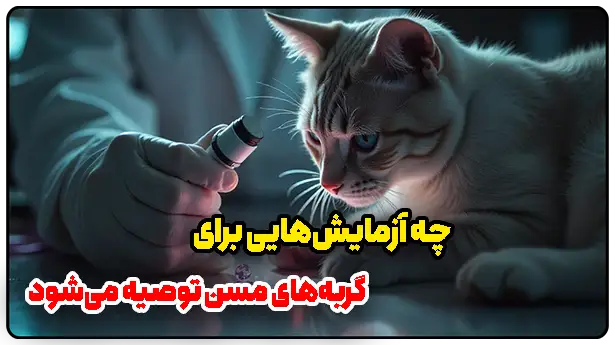 چه آزمایش‌هایی برای گربه‌های مسن توصیه می‌شود
