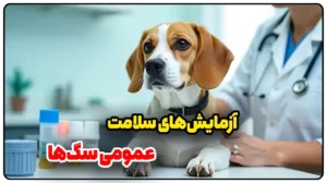 آزمایش‌های سلامت عمومی سگ‌ها